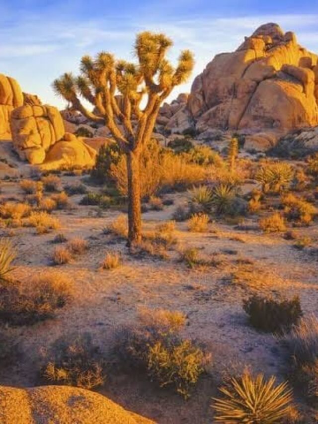 TOP best places to travel in april in usa